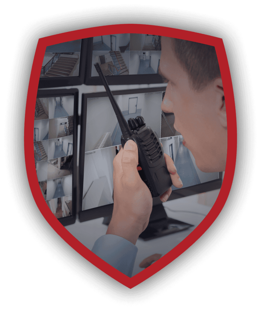 video monitoring companies