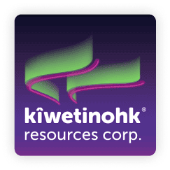 video security companies